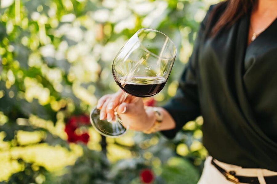 San Gimignano: Tuscan Vineyard Lunch with Wine Tasting - What happens when you arrive at Tenuta Torciano
