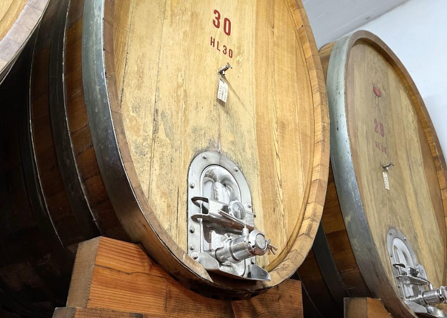 San Gimignano: Vineyard and Cellar Tour with Wine Tasting - Food pairings that make the tasting practical