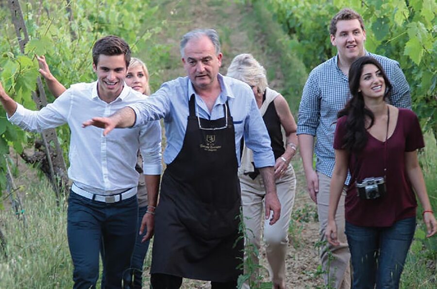 San Gimignano: Vineyard Walk with Wine Tasting in winery - What the $100 price gives you