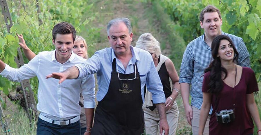 San Gimignano: Vineyard Walk with Wine Tasting in winery - Who should book this 1.5-hour visit