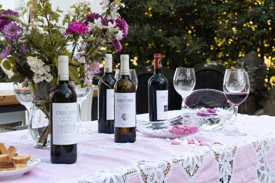 San Gimignano: Wine and Food Tasting in a Family Winery - A vineyard visit with the whole farm in view