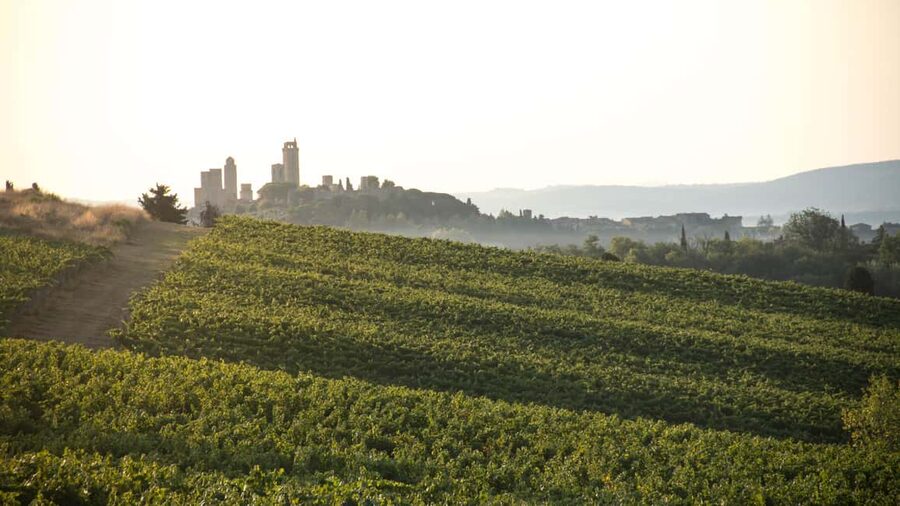 San Gimignano: Wine and Food Tasting in a Family Winery - A generous Tuscan table, not just a few nibbles