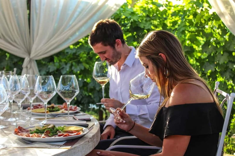 San Gimignano: Wine and Oil Tasting with Tuscan Appetizers - Key points to know before booking