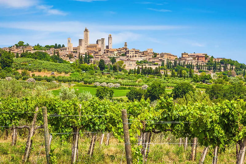 San Gimignano: Wine and Oil Tasting with Tuscan Appetizers - Why the setting matters