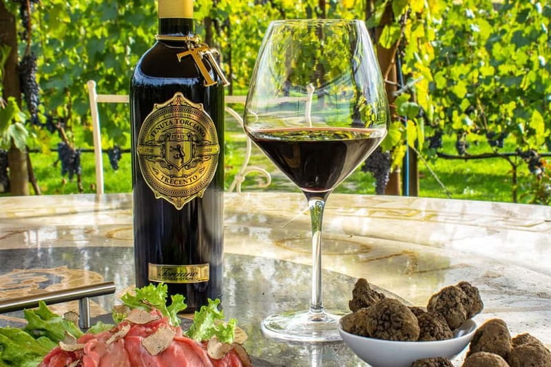 San Gimignano: Wine and Oil Tasting with Tuscan Appetizers - What you taste during the one-hour session