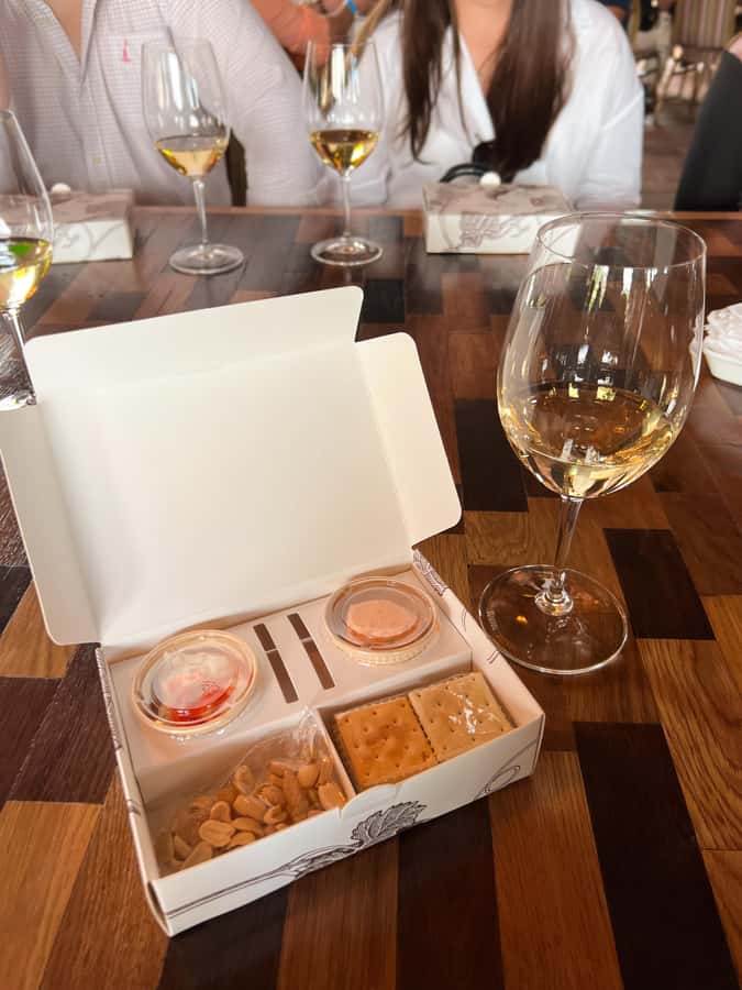 Santiago: Alyan Winery Sunset with Wine Tastings and Dinner - Language, group comfort, and the pace of the visit