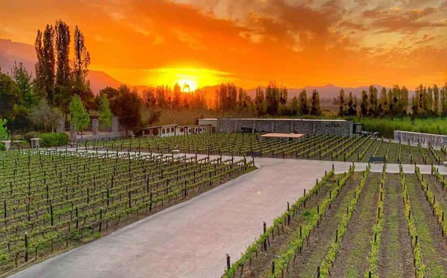 Santiago: Alyan Winery Sunset with Wine Tastings and Dinner - Who will get the most from this afternoon