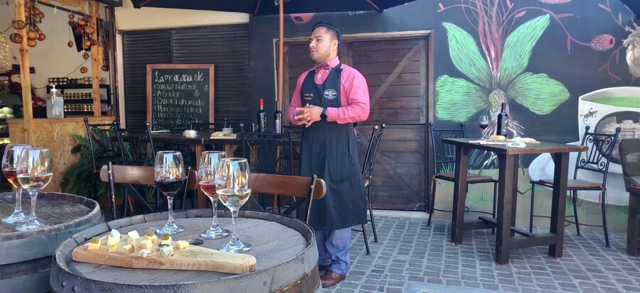 Santiago de Querétaro: Pueblos Mágicos Cheese and Wine Route - Who will enjoy this route most
