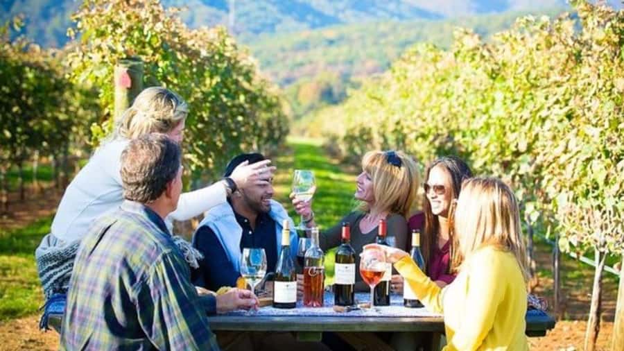 Santiago: Maipo Valley Wine Tasting Tour with 4 Vineyards - Key points at a glance