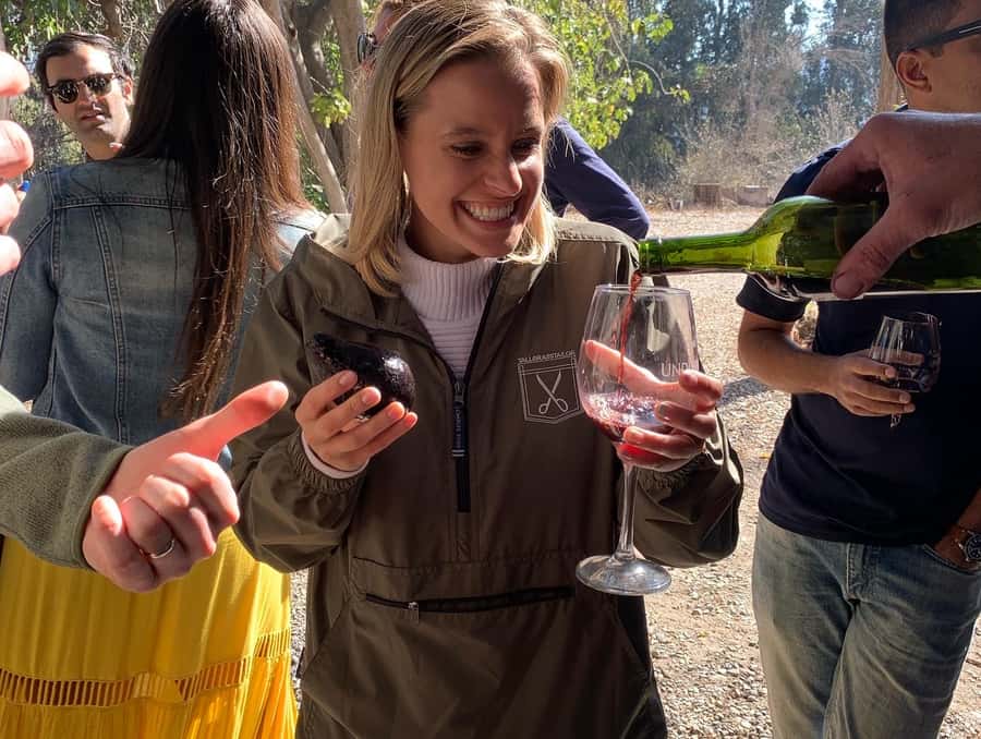 Santiago: Maipo Valley Wine Tasting Tour with 4 Vineyards - Campo La Quirinca: wine with alpacas and chickens