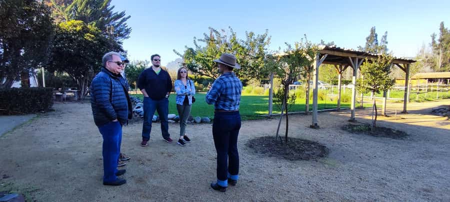 Santiago: Maipo Valley Wine Tasting Tour with 4 Vineyards - Santa Ema and the move to polished wine tourism