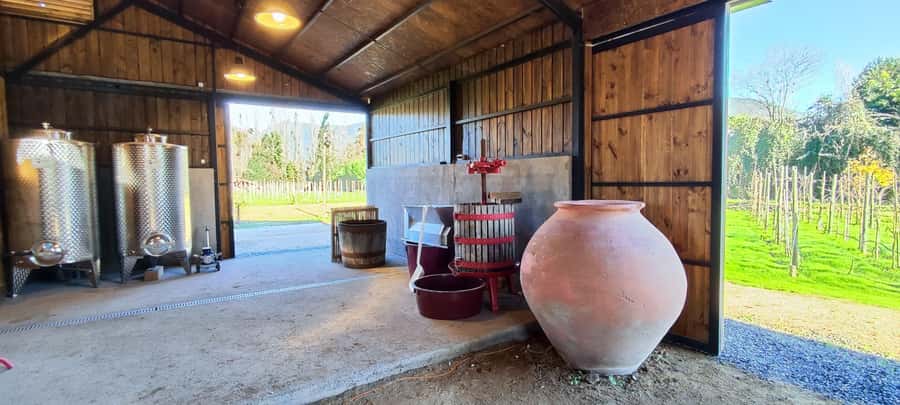 Santiago: Maipo Valley Wine Tasting Tour with 4 Vineyards - TerraMater: a useful lunch break, not a fourth tasting