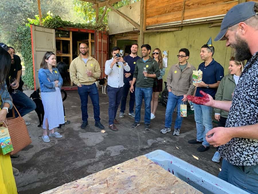 Santiago: Maipo Valley Wine Tasting Tour with 4 Vineyards - Undurraga: the grand finale with gardens and cellars