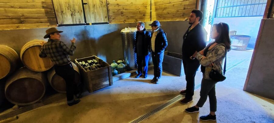 Santiago: Maipo Valley Wine Tasting Tour with 4 Vineyards - Wine, food, and pacing across the day