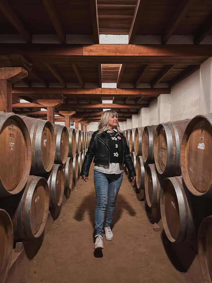 Santiago: Tour to Isla Negra, Algarrobo and Undurraga Wines - What you get from the Undurraga wine stop