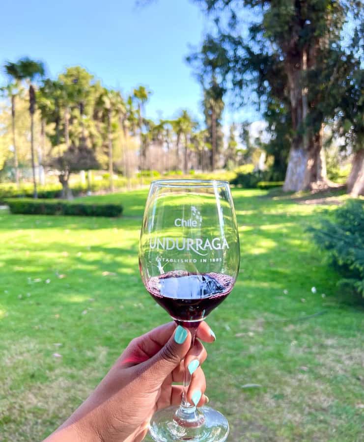 Santiago: Tour to Isla Negra, Algarrobo and Undurraga Wines - Isla Negra and Pablo Neruda’s house by the sea
