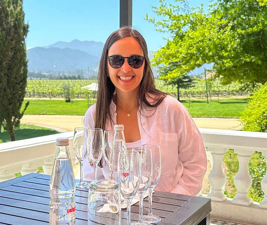 Santiago: World-class Wines, Visit to 4 Vineyards and Tanino - Key points at a glance