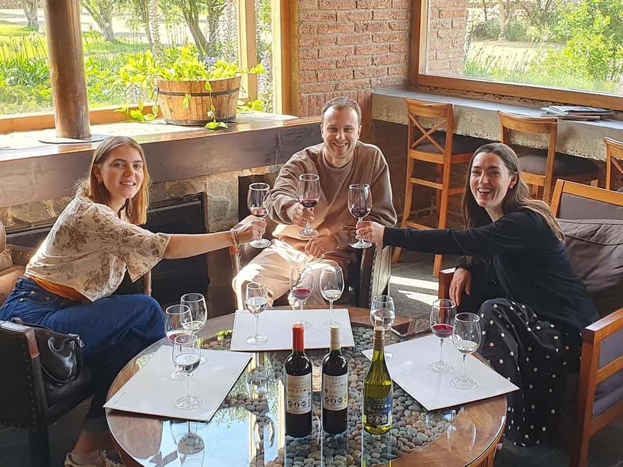 Santiago: World-class Wines, Visit to 4 Vineyards and Tanino - Why this Casablanca Valley day trip works