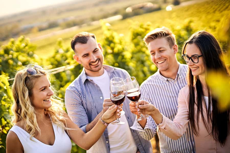 Santiago: World-class Wines, Visit to 4 Vineyards and Tanino - Viñamar brings sparkling wine into the picture