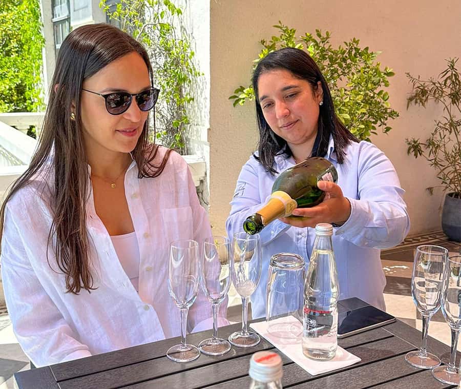 Santiago: World-class Wines, Visit to 4 Vineyards and Tanino - Bodegas RE offers the most unusual stop