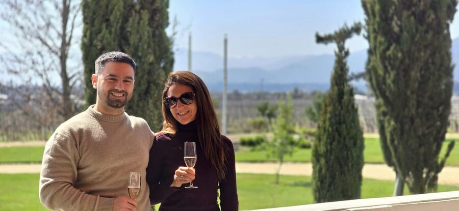 Santiago: World-class Wines, Visit to 4 Vineyards and Tanino - Casas del Bosque and Tanino provide the long final stop