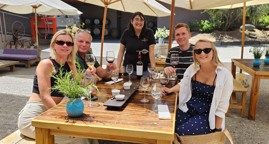 Santiago: World-class Wines, Visit to 4 Vineyards and Tanino - The guides shape the day