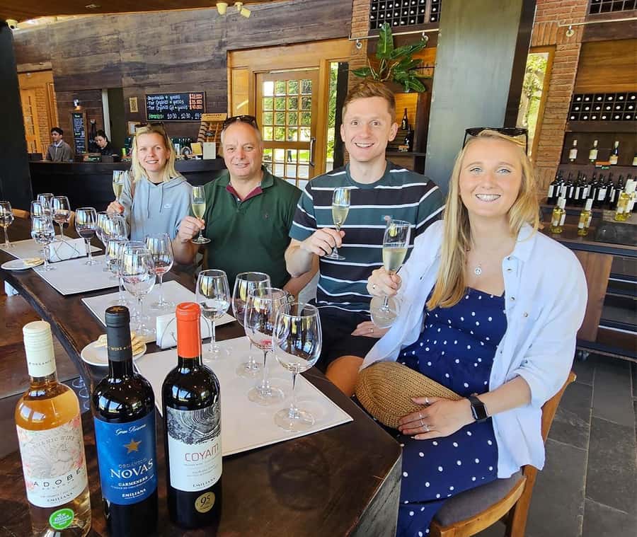 Santiago: World-class Wines, Visit to 4 Vineyards and Tanino - Transport, group size, and accessibility