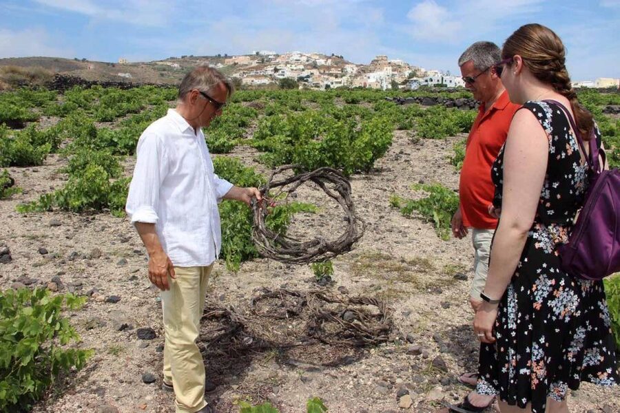 Santorini: 5-Hour Private Wine Tour - Anhydrous Cellar Door finishes with modern style