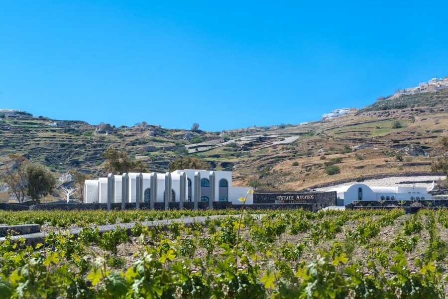 Santorini: Guided Wineries Private Tour with Wine Tastings - Estate Argyros brings a modern finish