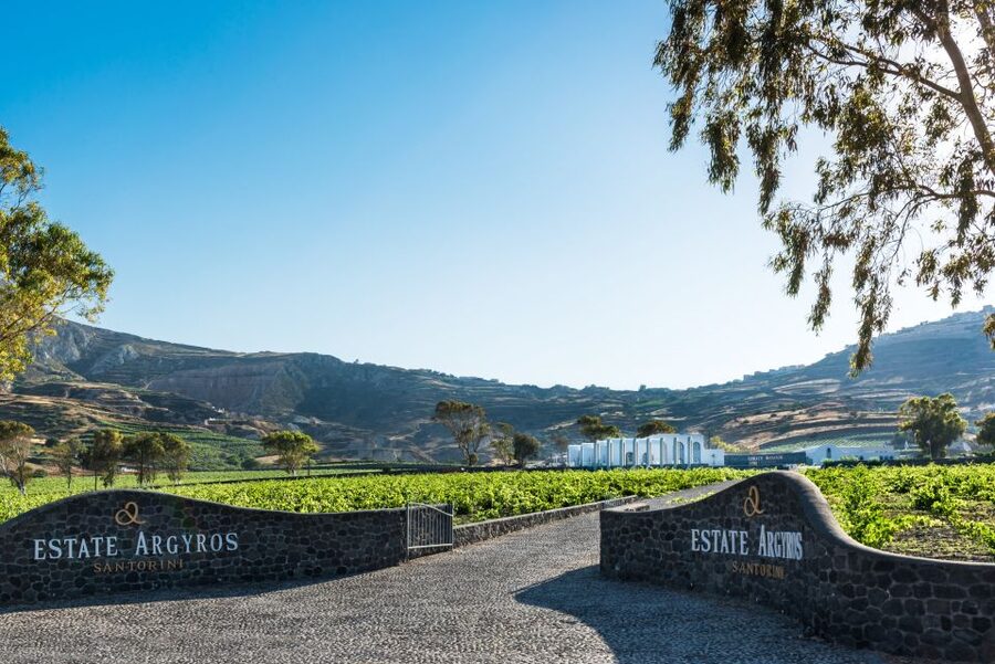 Santorini: Guided Wineries Private Tour with Wine Tastings - Guides make the private format worthwhile