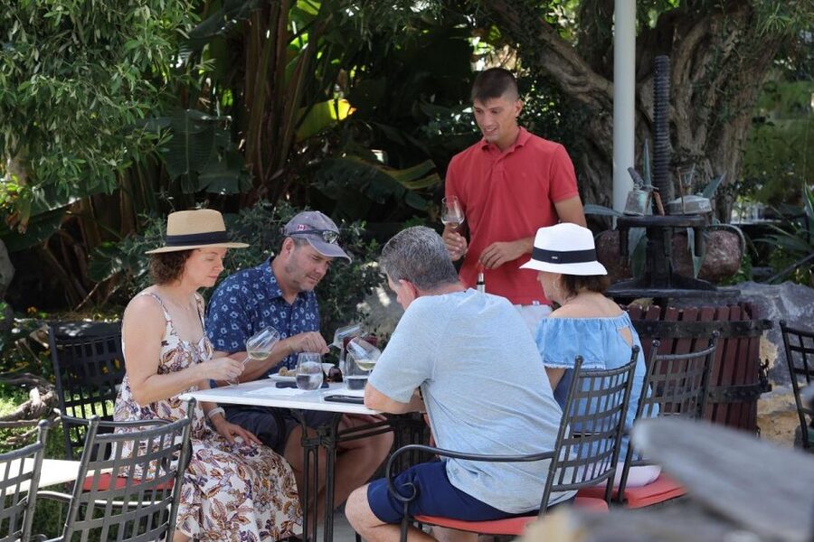 Santorini: Tour of Wineries with Wine Tasting & Food - Why Santorini wine deserves a closer look