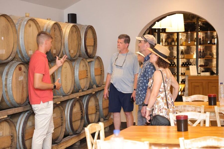 Santorini: Tour of Wineries with Wine Tasting & Food - Who will enjoy this tour most