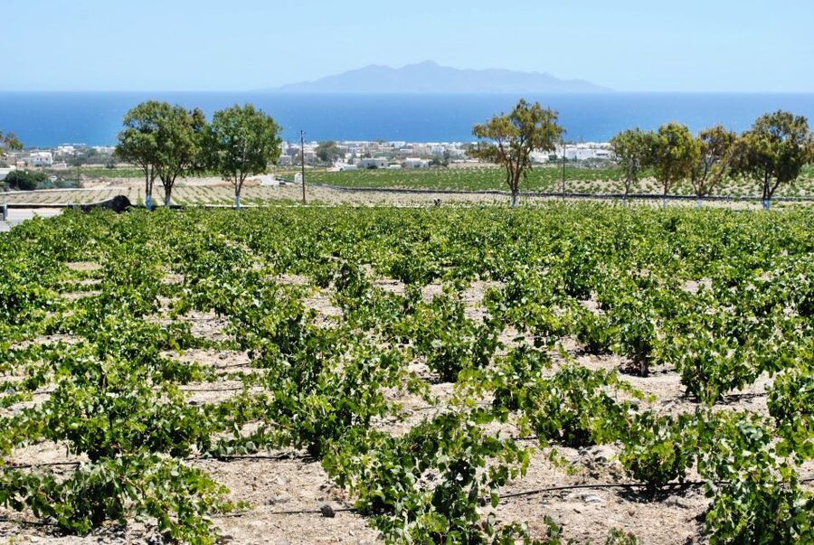 Santorini: Wine Tasting Tour & Sunset Viewing - The route from Thera into the countryside
