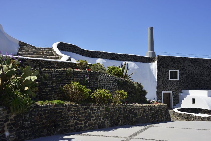 Santorini: Wine Tasting Tour to 3 Wineries with Transfer - Transport, pickup, and group feel