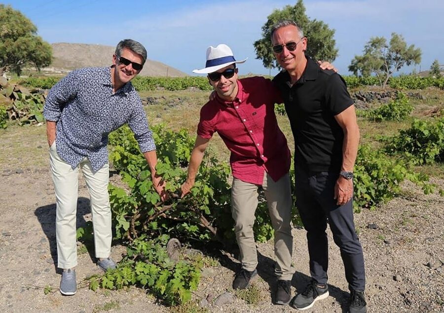 Santorini: Wine Tasting Tour with Snacks - Morning or sunset route?