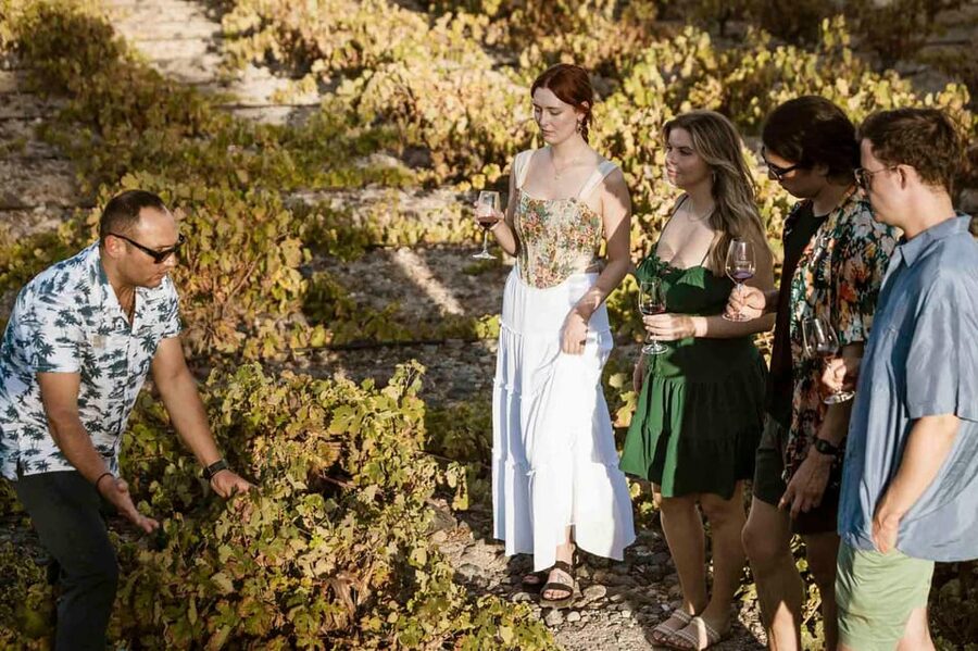 Santorini: Wine Tasting Tour with Snacks - Hotel pickup makes the day easier