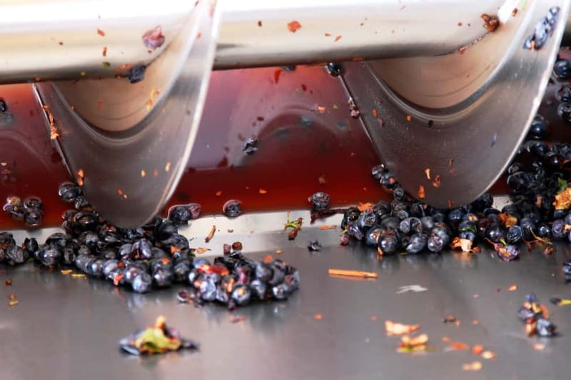 Sardinia: Winery Tour and Wine Tasting Experience - The winery’s modern approach to Sardinian wine
