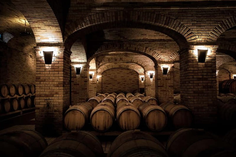 Sardinia: Winery Tour and Wine Tasting Experience - What the two-hour visit actually includes