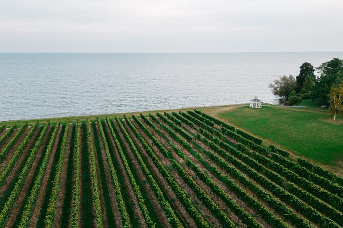 Seated Tasting Experience at Konzelmann Winery - What happens when you arrive at Konzelmann Winery