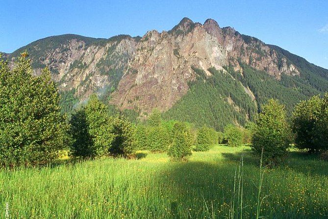 Seattle Wine & Snoqualmie Falls Highlights Tour - What the $119 price really buys