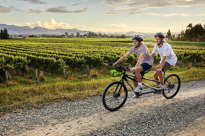 Self-Guided Biking Wine Tour (full day) in the Marlborough Region. - Planning your winery stops before you pedal away