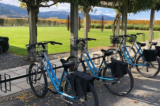 Self-Guided Wine Tours by Bike with Lorelle & Greg - Lunch: platters or a proper restaurant