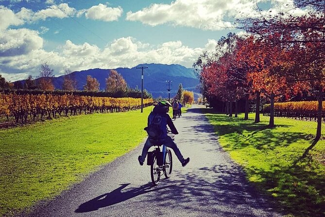 Self-Guided Wine Tours by Bike with Lorelle & Greg - Cost and overall value