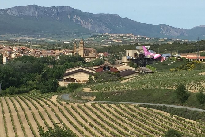 Semi-Private Rioja Tour of 3 Premium Wineries from Bilbao - Practical details before you go