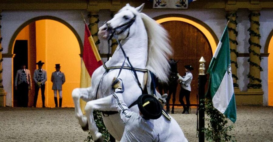 Seville: Jerez, Cadiz Wine Tasting with Optional Horse Show - Why this Jerez and Cadiz day trip works