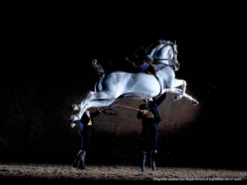 Seville: Jerez, Cadiz Wine Tasting with Optional Horse Show - Making the most of your free time in Cadiz