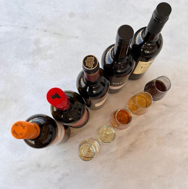 Seville: Sherry Wine Tasting with Light Snacks - The first pours: learning what sherry can be