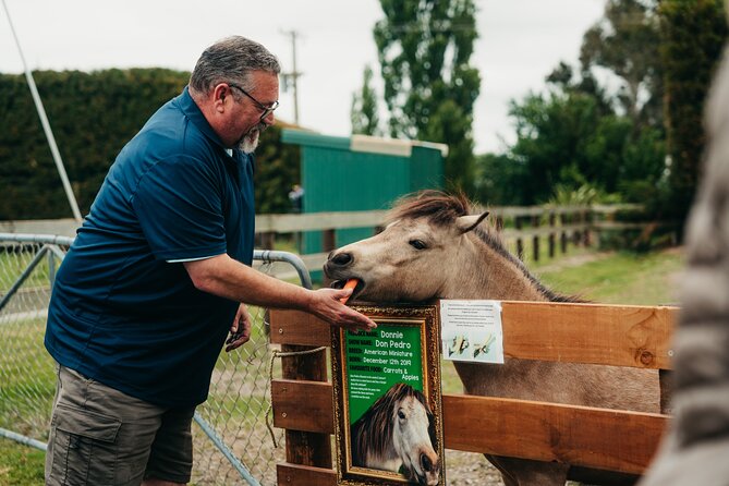 Sheep Farm Day Trip from Christchurch + Lunch and Winery visit. - What the $183.07 price includes