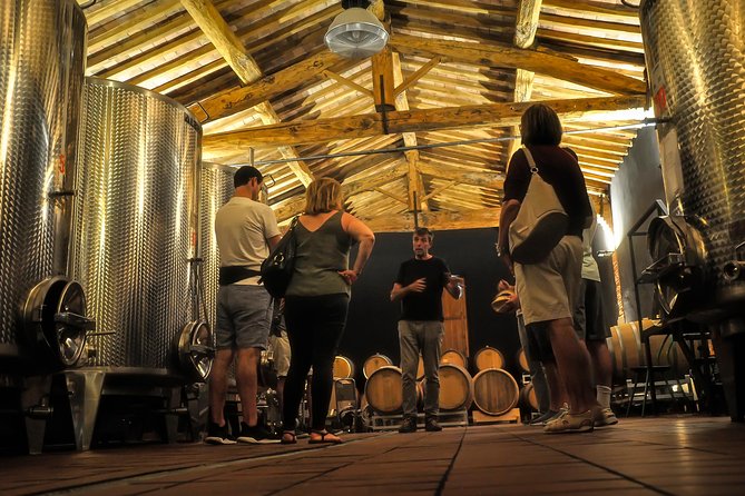Siena: A Wine Tour and Tasting Experience - Stop two: the cellar explains how grape becomes wine