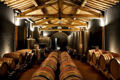 A Wine Tour and Tasting Experience